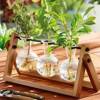 Wooden Propagation Station